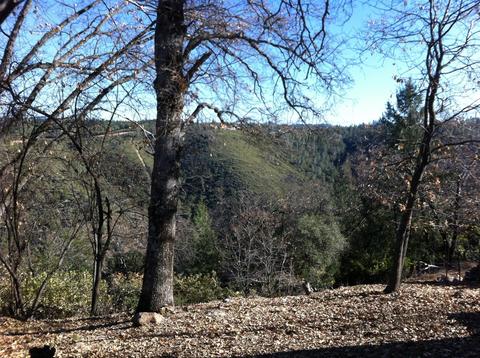 370 Jane Dr, Placerville, CA 95667 photo 10