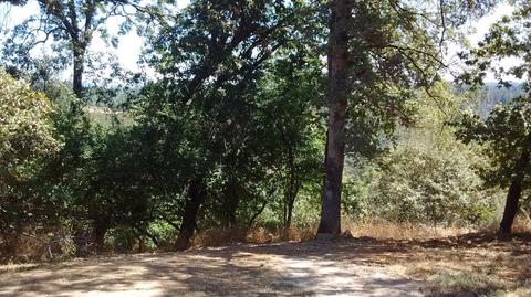 370 Jane Dr, Placerville, CA 95667 photo 17
