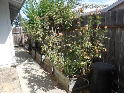 9144 Pershing Ave, Orangevale, CA 95662 photo 23