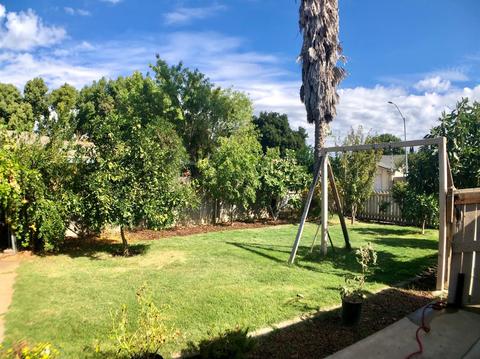 2415 Meadow Dr, Lodi, CA 95240 photo 3