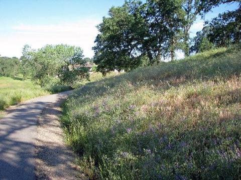 34 Goshawk, Wallace, CA 95254 photo 5