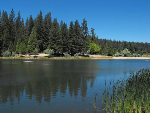 2444 Middle Dr, Arnold, CA 95223 photo 19