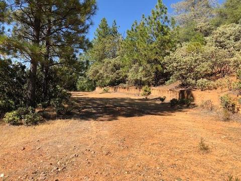 17777 View Ter, Jackson, CA 95642 photo 2
