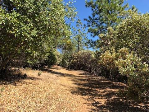 17777 View Ter, Jackson, CA 95642 photo 4