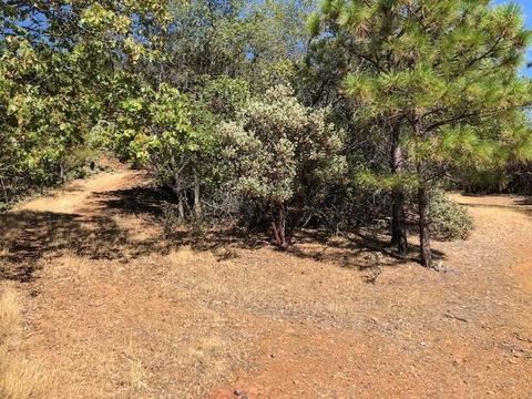 17777 View Ter, Jackson, CA 95642 photo 3