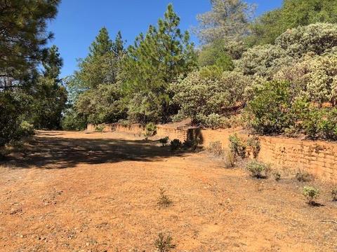 17777 View Ter, Jackson, CA 95642 photo 5