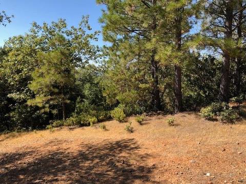 17777 View Ter, Jackson, CA 95642 photo 6