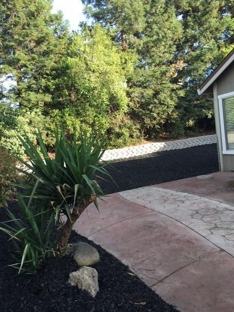 8554 Star Bright Ct, Antelope, CA 95843 photo 9