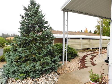 20 Rollingwood Dr #130, Jackson, CA 95642 photo 3