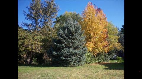 6875 Merced Falls Rd, Snelling, CA 95369 photo 14