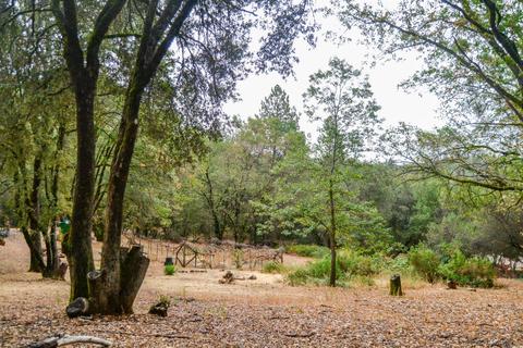760 Cotter Ranch Rd, Applegate, CA 95703 photo 20