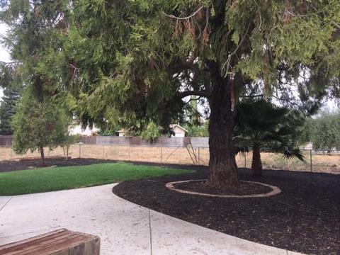 654 1st St, Escalon, CA 95320 photo 5
