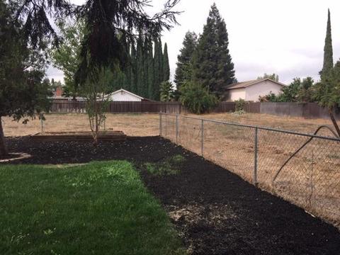 654 1st St, Escalon, CA 95320 photo 8