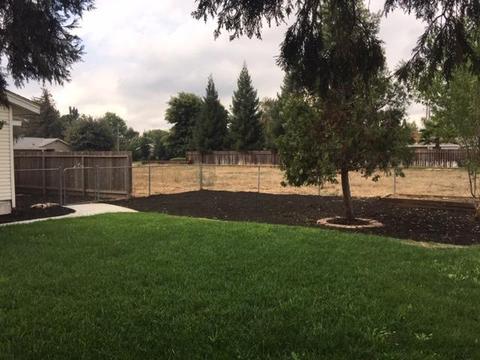 654 1st St, Escalon, CA 95320 photo 7