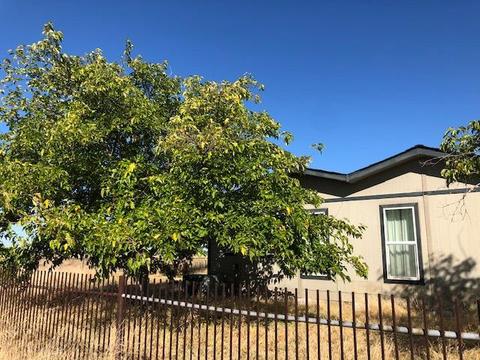 9391 El Modena Ave, Elverta, CA 95626 photo 5