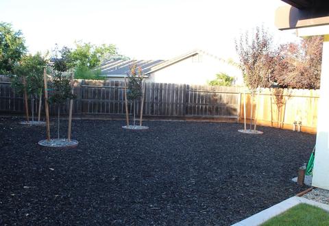 725 Quaker Ridge Ct, Lathrop, CA 95330 photo 21