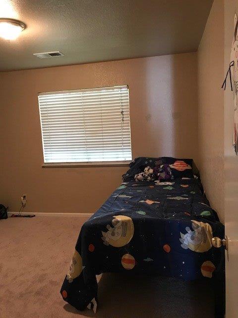 774 Jonquil Dr, Lathrop, CA 95330 photo 15