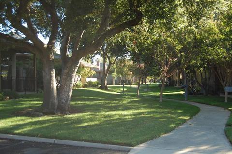 2498 Central Park Dr, Lodi, CA 95242 photo 21