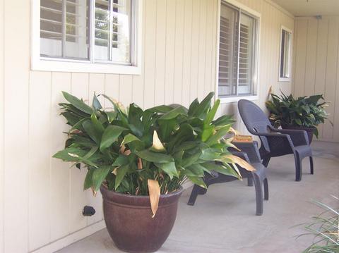 380 Oak Ave, Ripon, CA 95366 photo 2