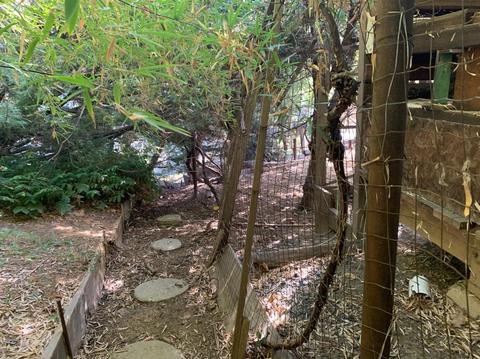 16555 Sallander Dr, Sonora, CA 95370 photo 27