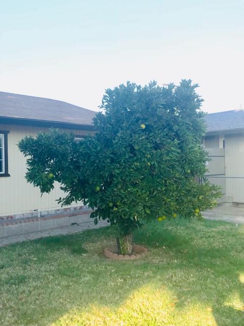 3141 U St, Antelope, CA 95843 photo 33