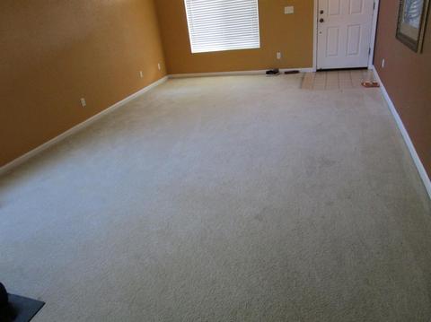 3917 Bella Flora Dr, Ceres, CA 95307 photo 10