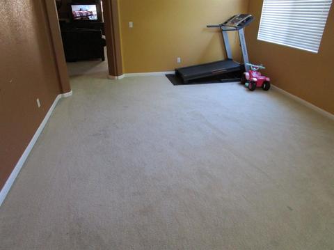 3917 Bella Flora Dr, Ceres, CA 95307 photo 11