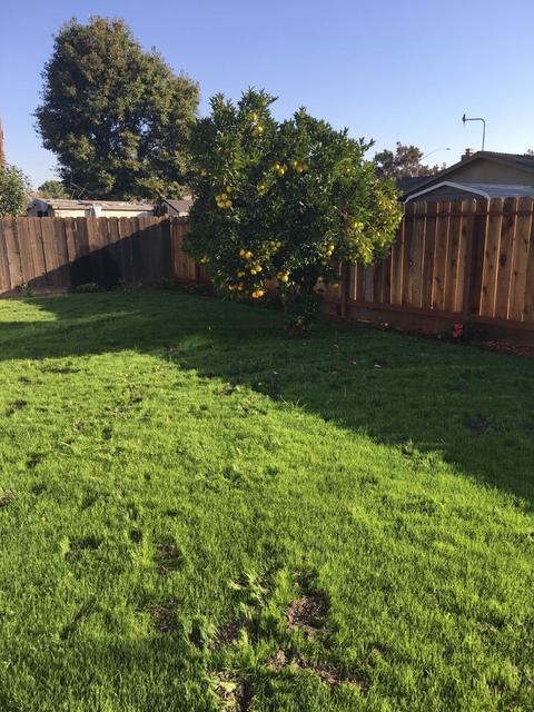 2002 Monticello Ave, Modesto, CA 95350 photo 7
