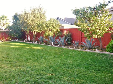 976 Tranquil Ln, Ceres, CA 95307 photo 13