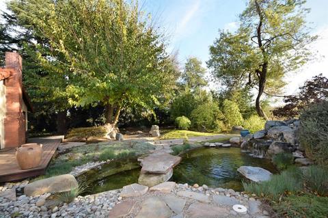 2542 Turner Rd, Ceres, CA 95307 photo 20