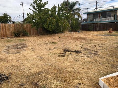 5843 Sutter Ave, Carmichael, CA 95608 photo 36