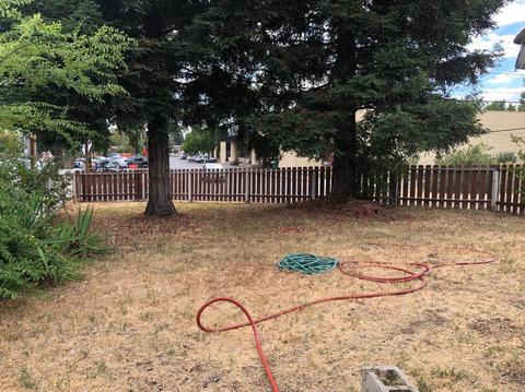 5843 Sutter Ave, Carmichael, CA 95608 photo 35