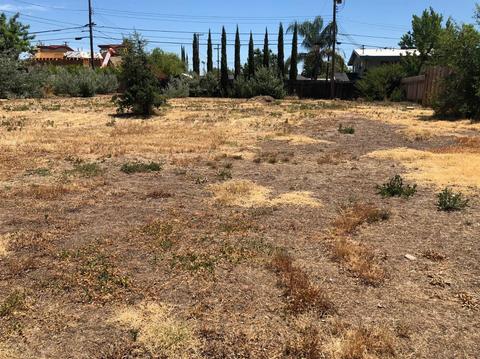 5843 Sutter Ave, Carmichael, CA 95608 photo 29