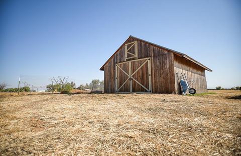 2880 Hall Rd, Corning, CA 96021 photo 30