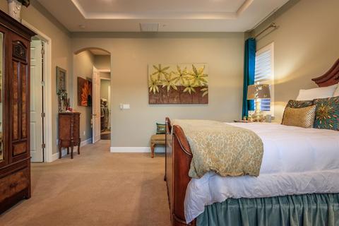 1175 Kelcie Dr, Ripon, CA 95366 photo 20