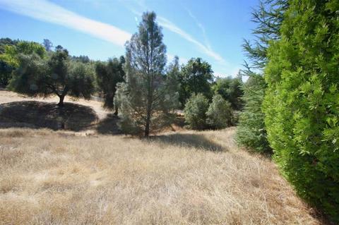 3517 Canyon Dr, Murphys, CA 95247 photo 36