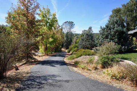 3517 Canyon Dr, Murphys, CA 95247 photo 23