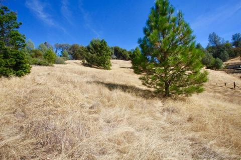 3517 Canyon Dr, Murphys, CA 95247 photo 6