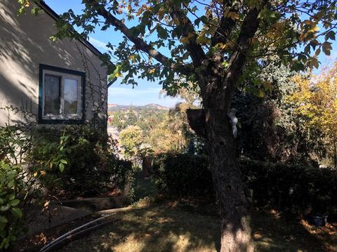 425 Anita St, Jackson, CA 95642 photo 9