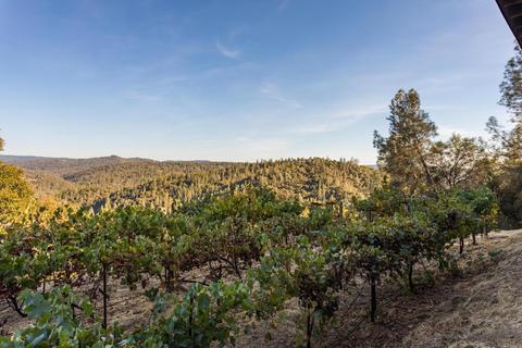 4907 Chisholm Trl, Placerville, CA 95667 photo 28