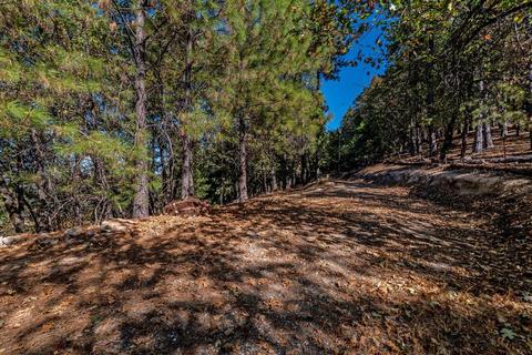 3640 Thorson Dr, Placerville, CA 95667 photo 30
