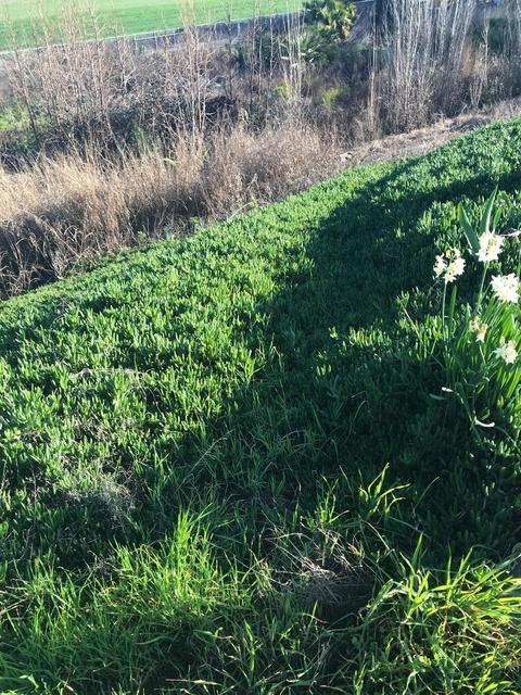 611 W Brannan Island Rd, Isleton, CA 95641 photo 9
