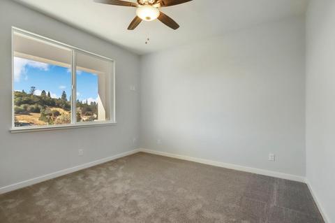 250 Cypress Ct, Jackson, CA 95642 photo 23