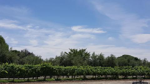 8482 W Linne Rd, Tracy, CA 95304 photo 30