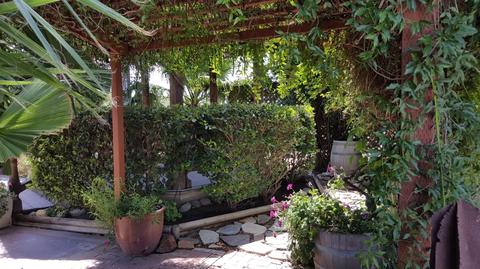 8482 W Linne Rd, Tracy, CA 95304 photo 27