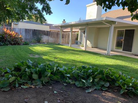 260 Idlewild Dr, Lodi, CA 95240 photo 25