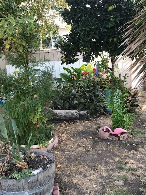 841 W Brannan Island Rd #24, Isleton, CA 95641 photo 4