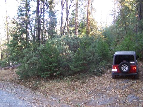 413 Loop Rd, Glencoe, CA 95232 photo 2