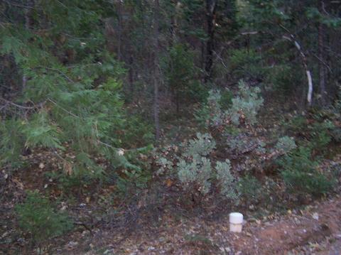 413 Loop Rd, Glencoe, CA 95232 photo 1