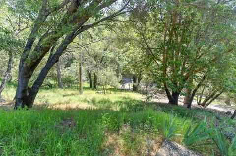 17781 Ridge Rd, Pine Grove, CA 95665 photo 25